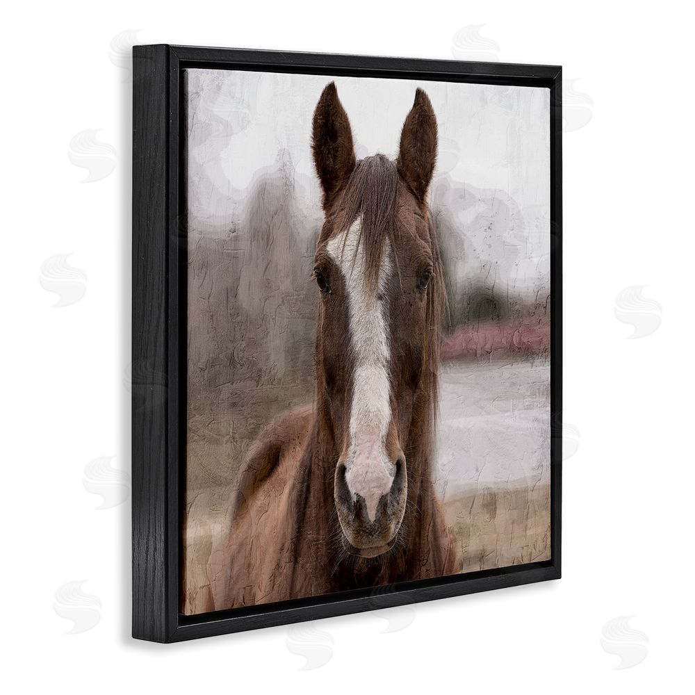 Kim Allen Brown Horse Portrait Black Floating Frame Canvas Wall Art Print
