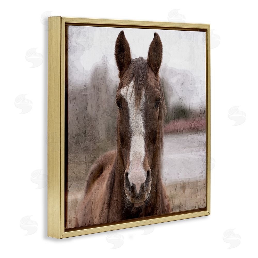 Kim Allen Brown Horse Portrait Gold Floating Frame Canvas Wall Art Print