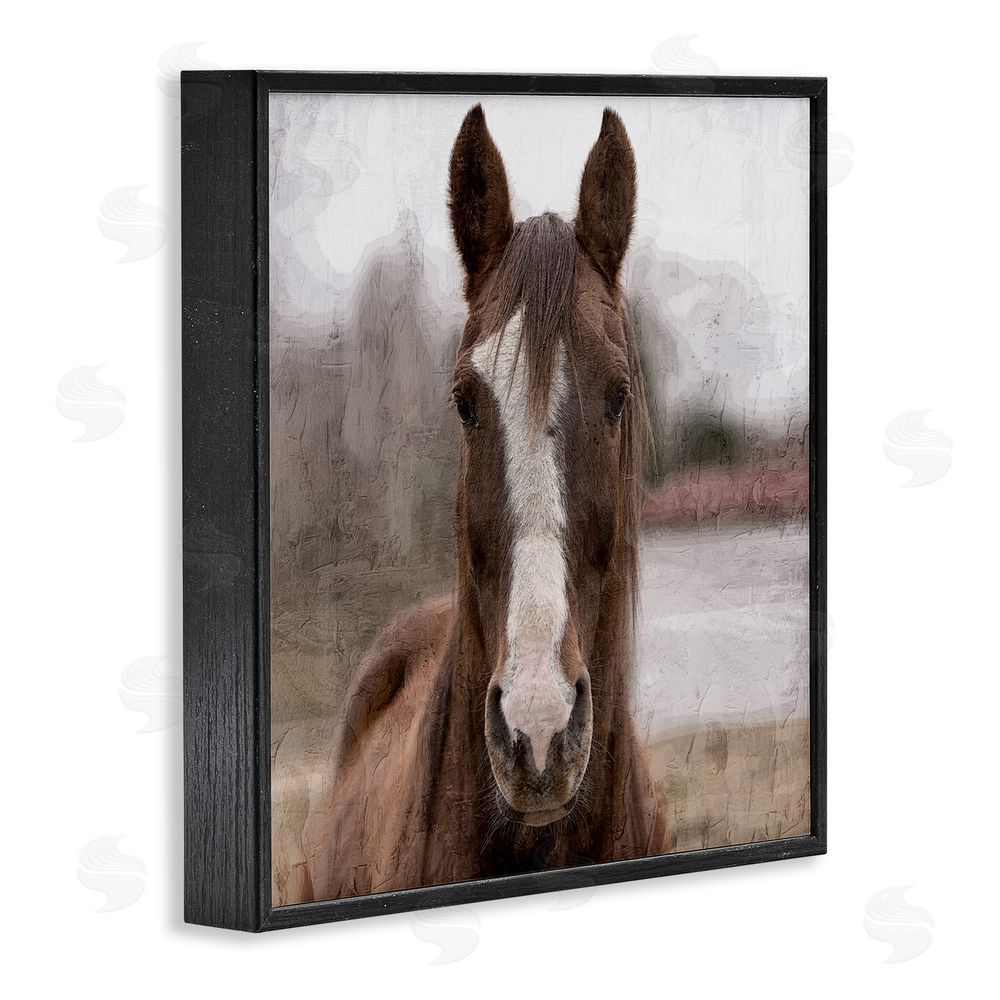 Kim Allen Brown Horse Portrait Black Framed Glicee Wall Art Print