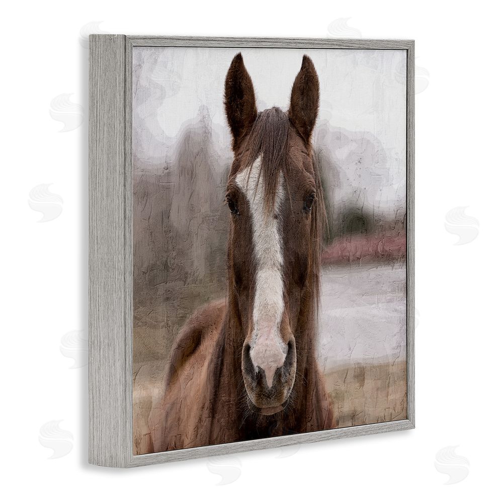 Kim Allen Brown Horse Portrait Gray Framed Glicee Wall Art Print