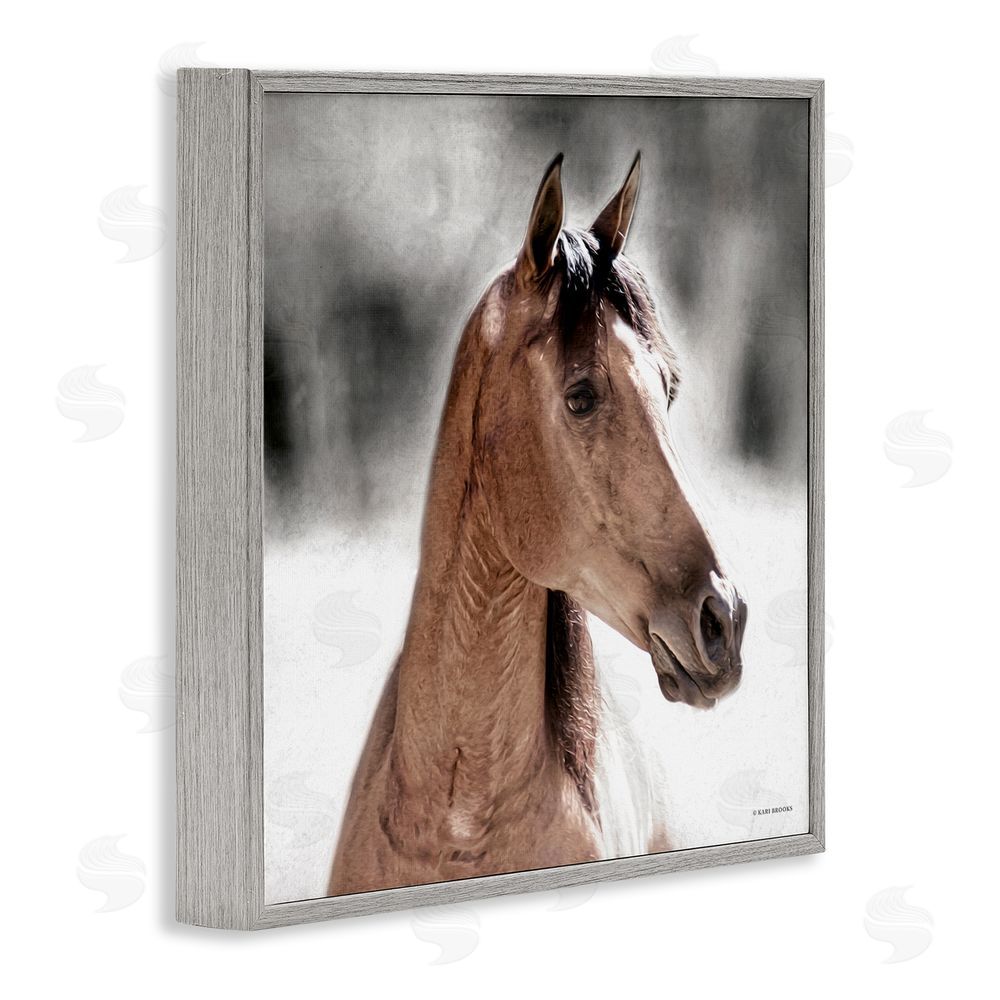 Kari Brooks Brown Foal in Snow Gray Framed Glicee Wall Art Print