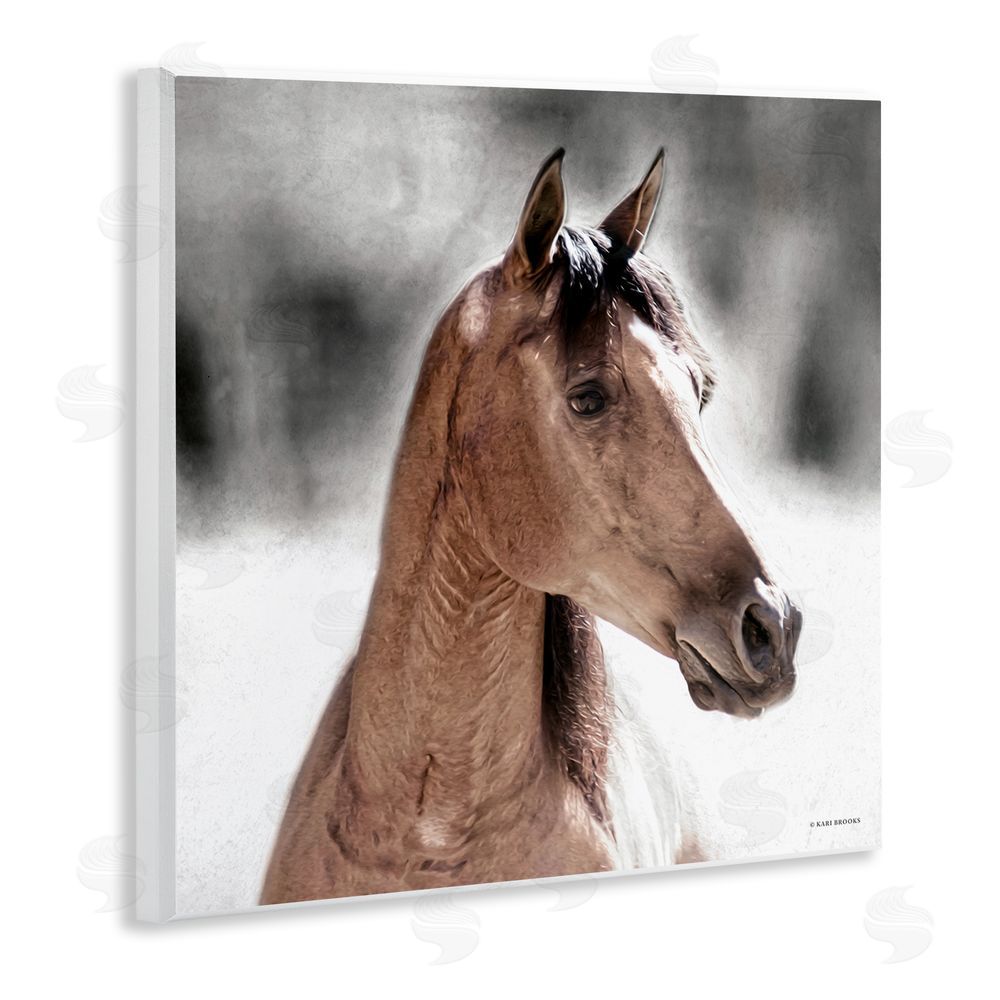 Kari Brooks Brown Foal in Snow Wooden Wall Plaque Art Print