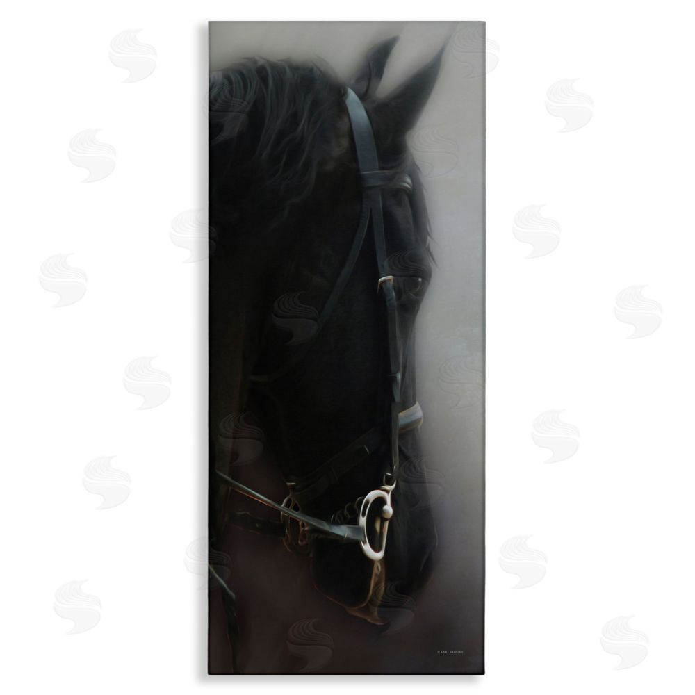 Kari Brooks Dim Black Horse Portrait