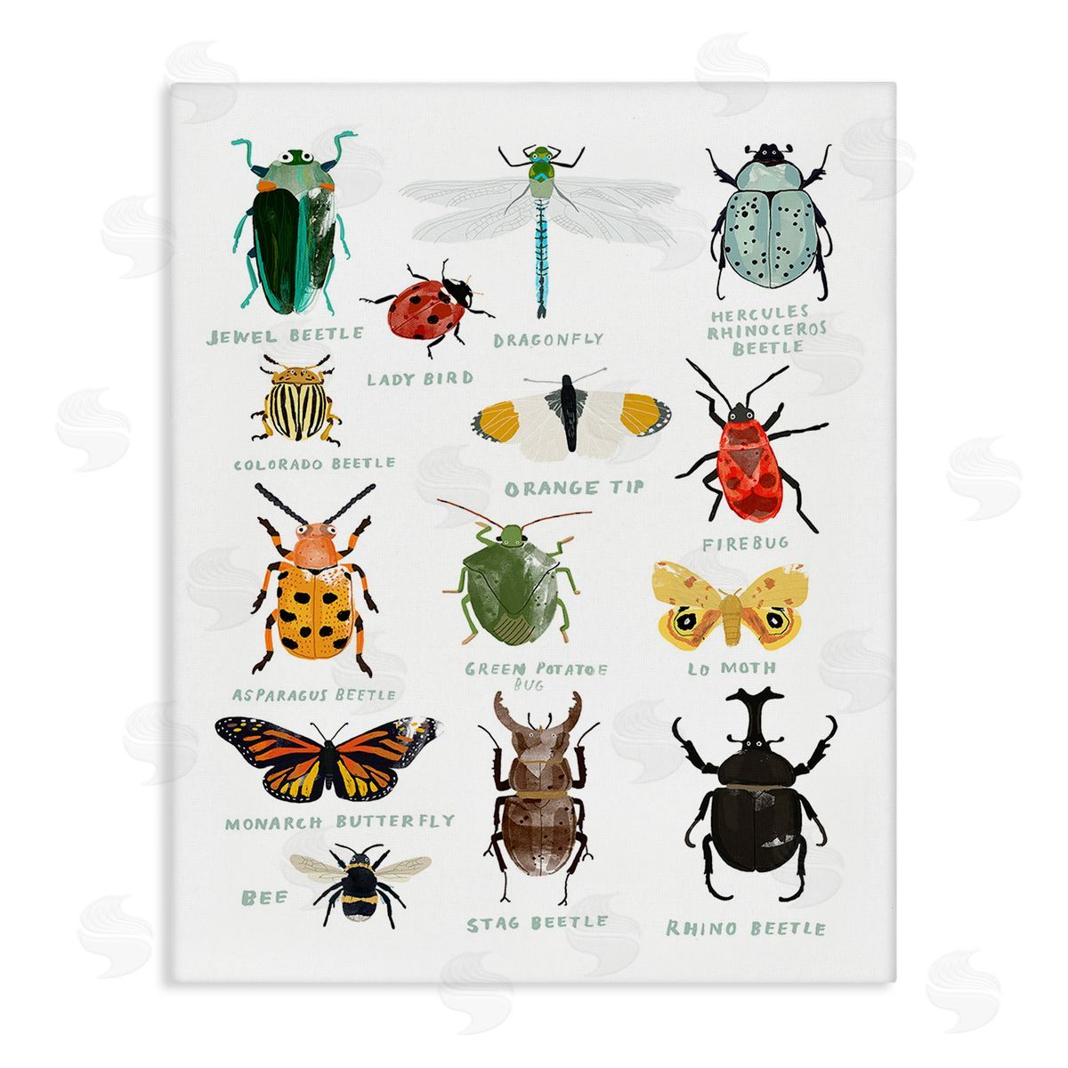 Hanna Melin Educational Bug Types