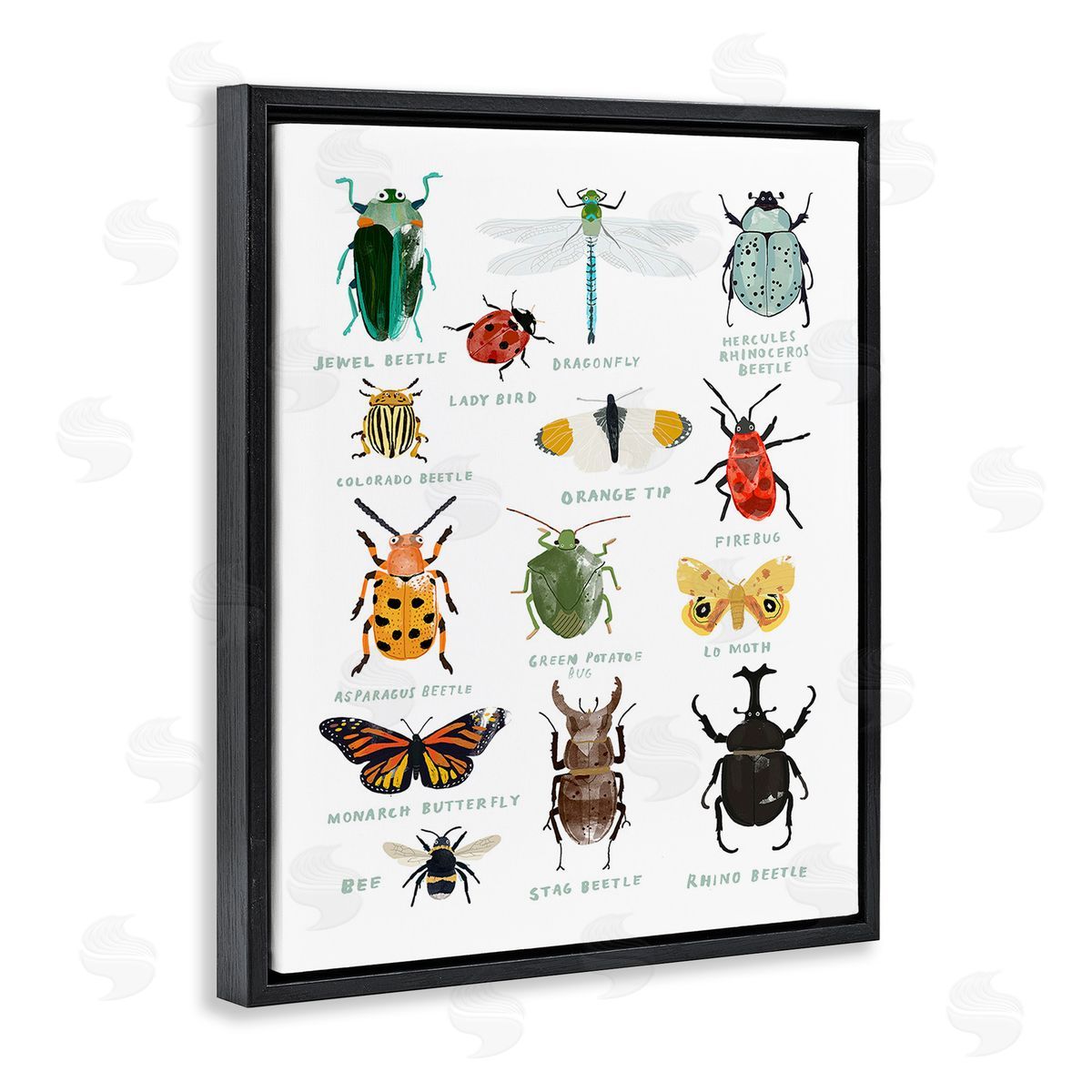 Hanna Melin Educational Bug Types