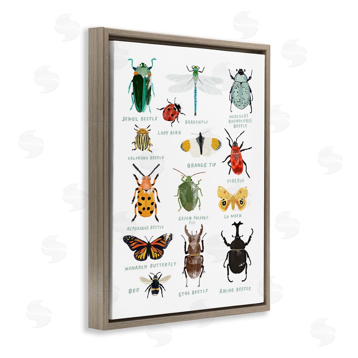 Hanna Melin Educational Bug Types