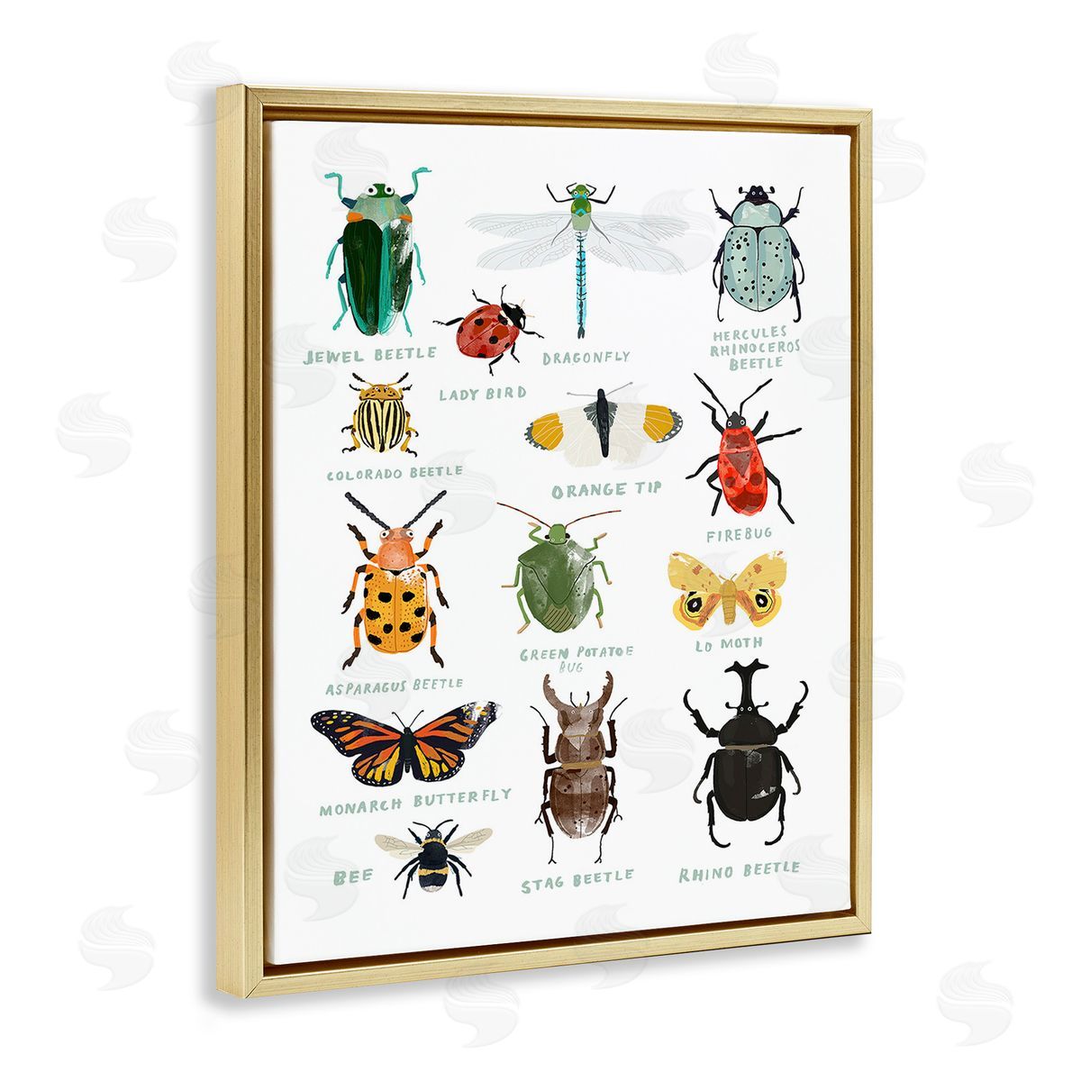 Hanna Melin Educational Bug Types