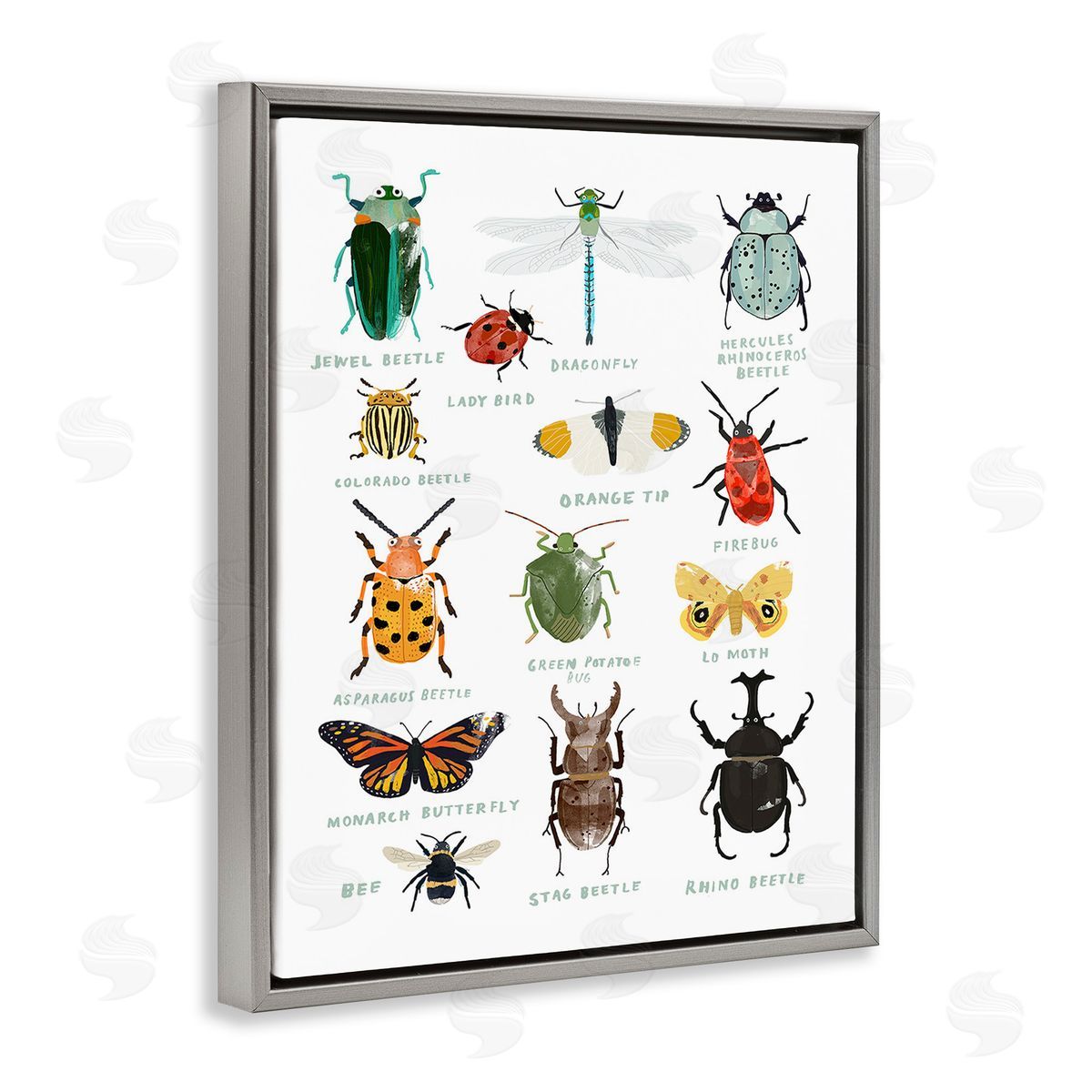 Hanna Melin Educational Bug Types
