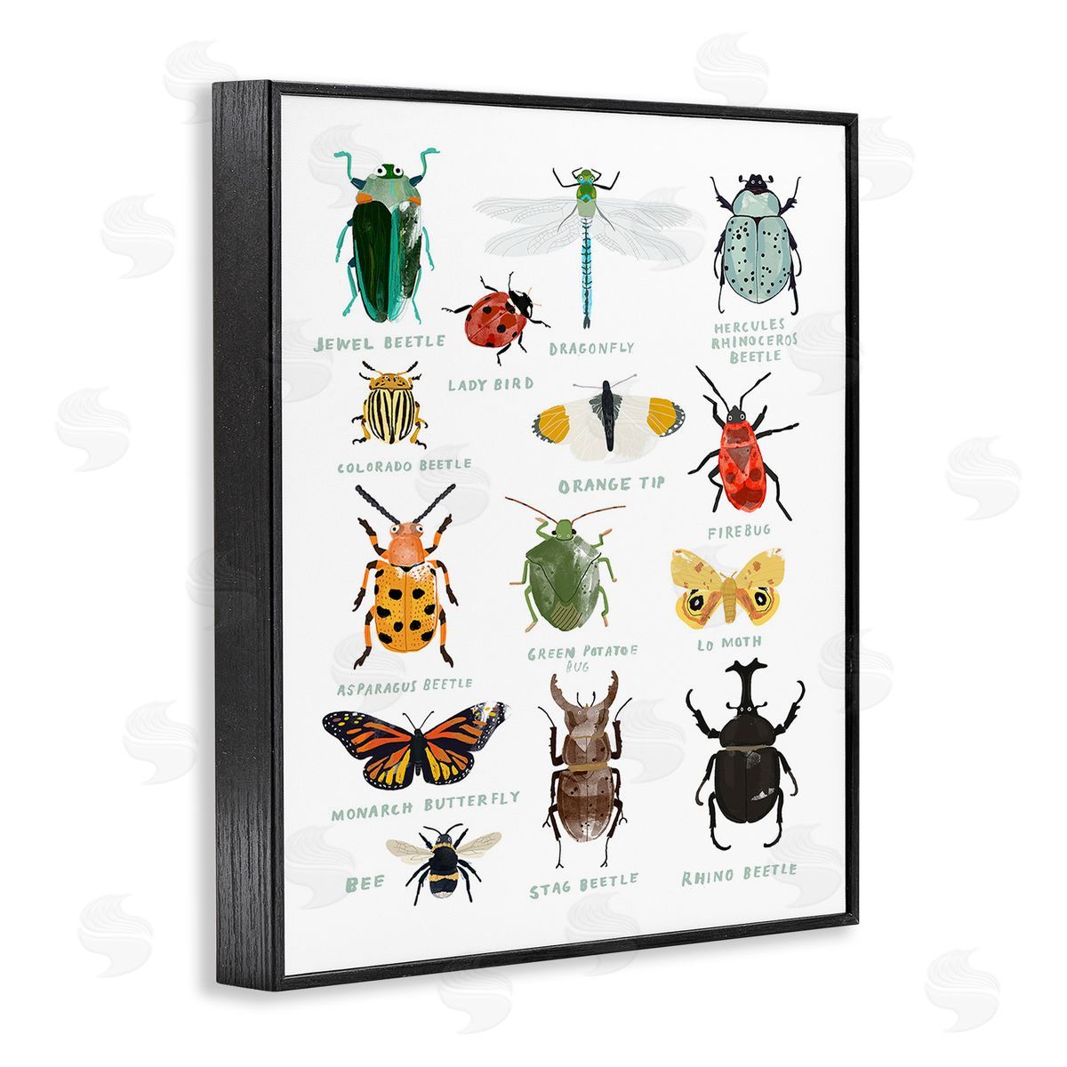 Hanna Melin Educational Bug Types