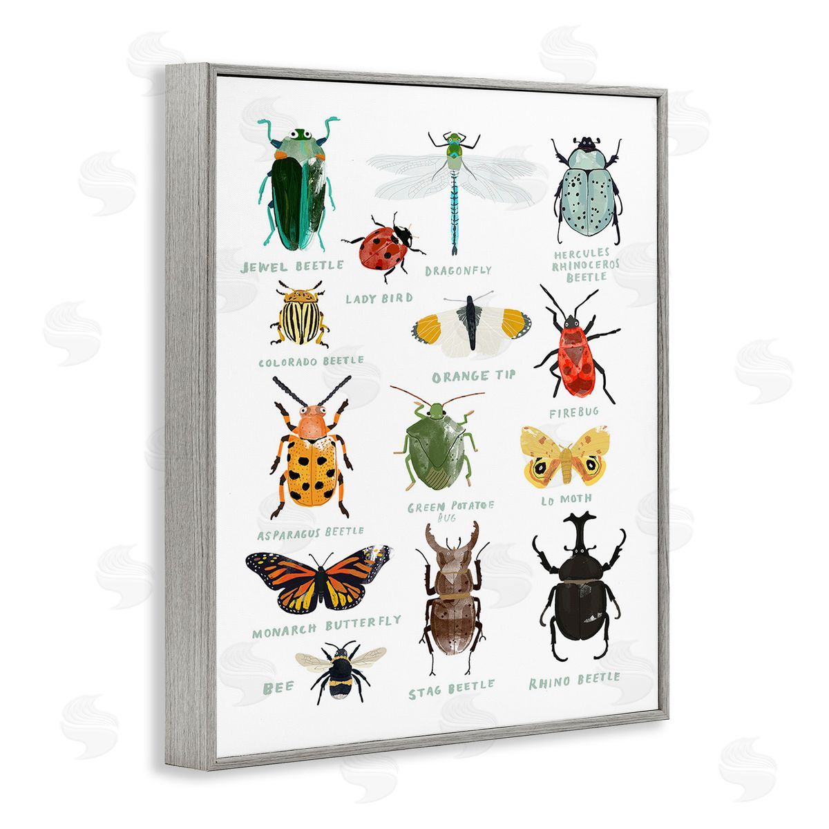 Hanna Melin Educational Bug Types