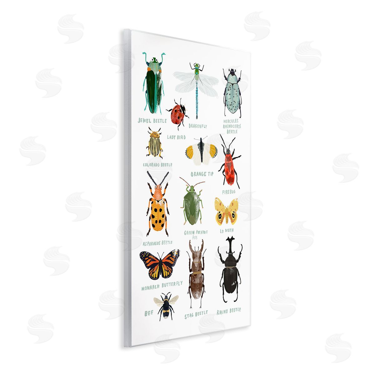 Hanna Melin Educational Bug Types