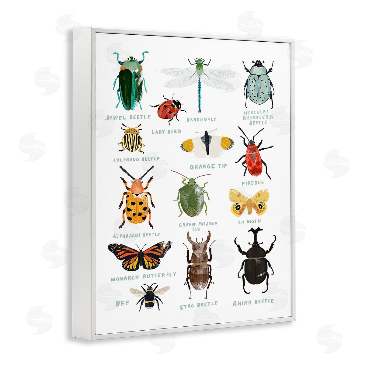 Hanna Melin Educational Bug Types