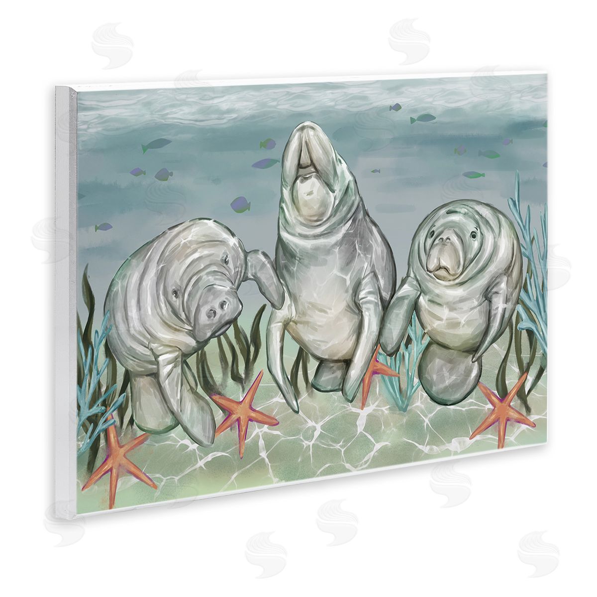 Ziwei Li Underwater Manatees & Starfish