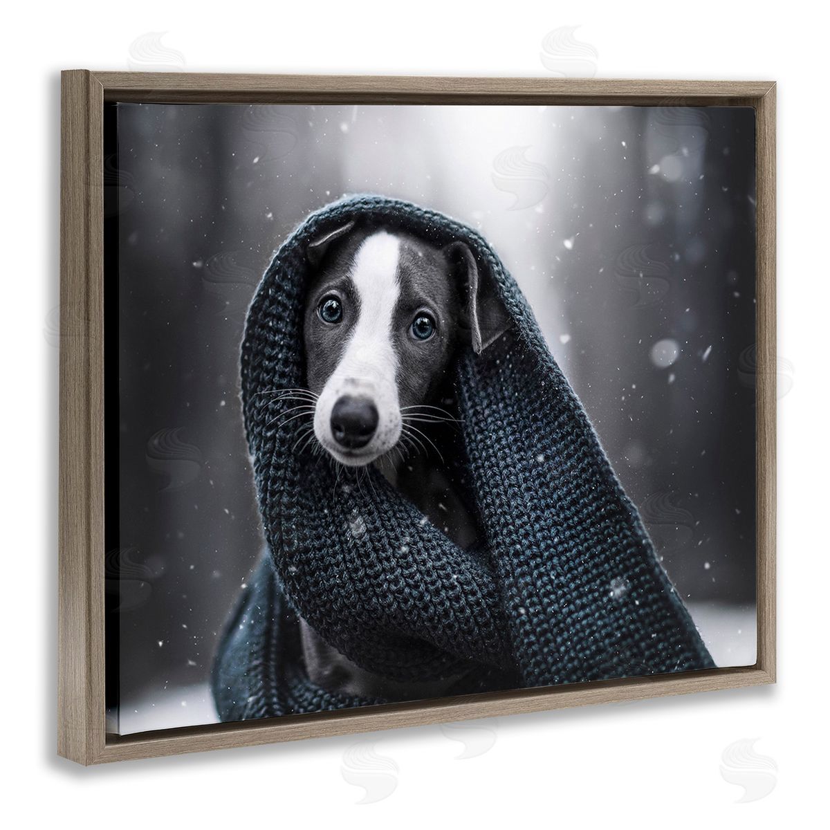 Natalie Grosse Dog with Winter Scarf