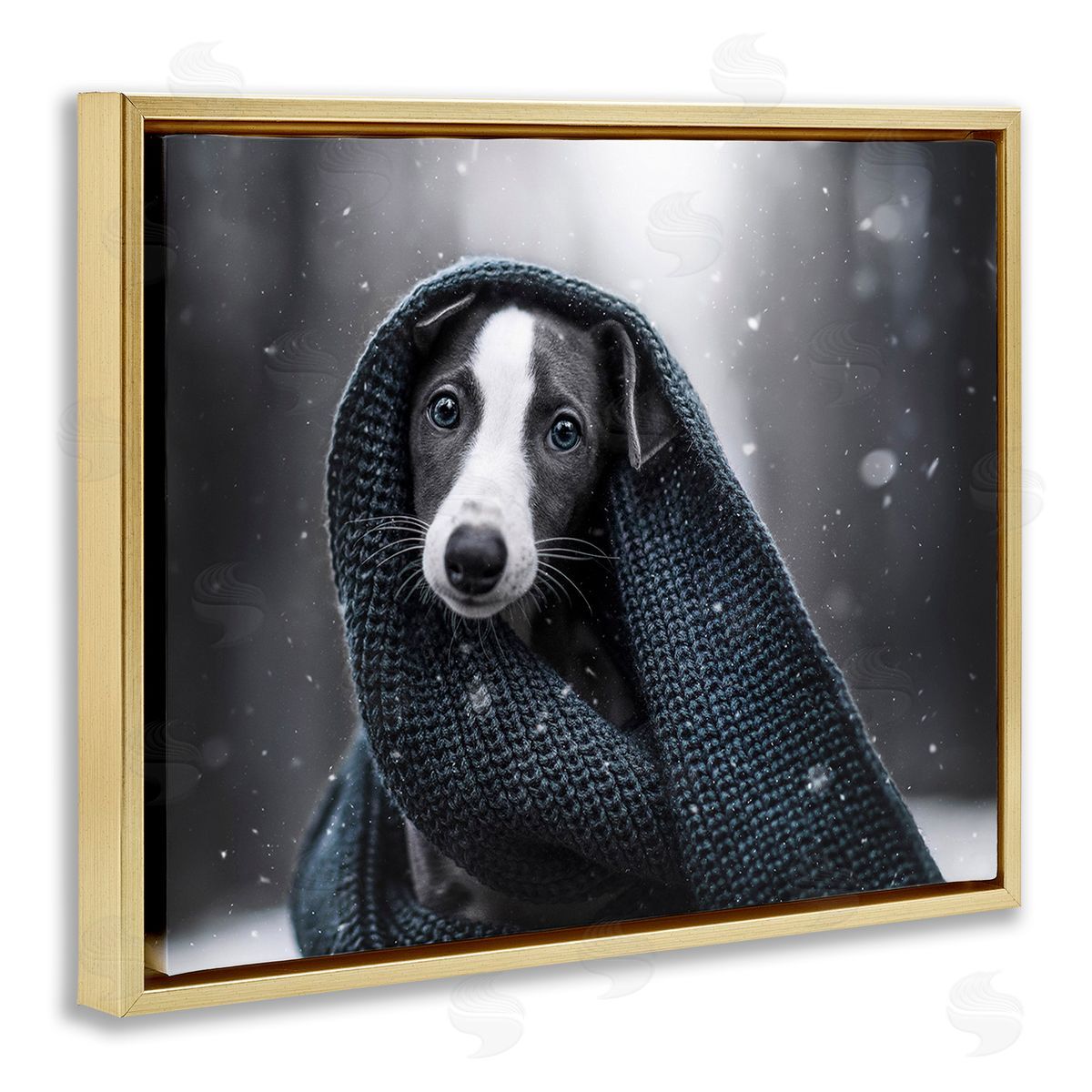 Natalie Grosse Dog with Winter Scarf