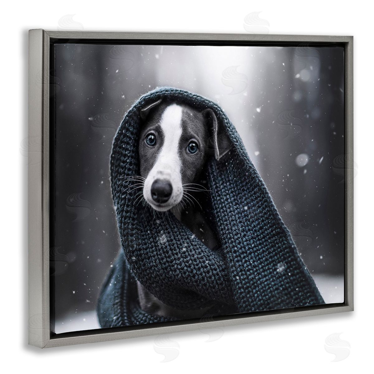 Natalie Grosse Dog with Winter Scarf