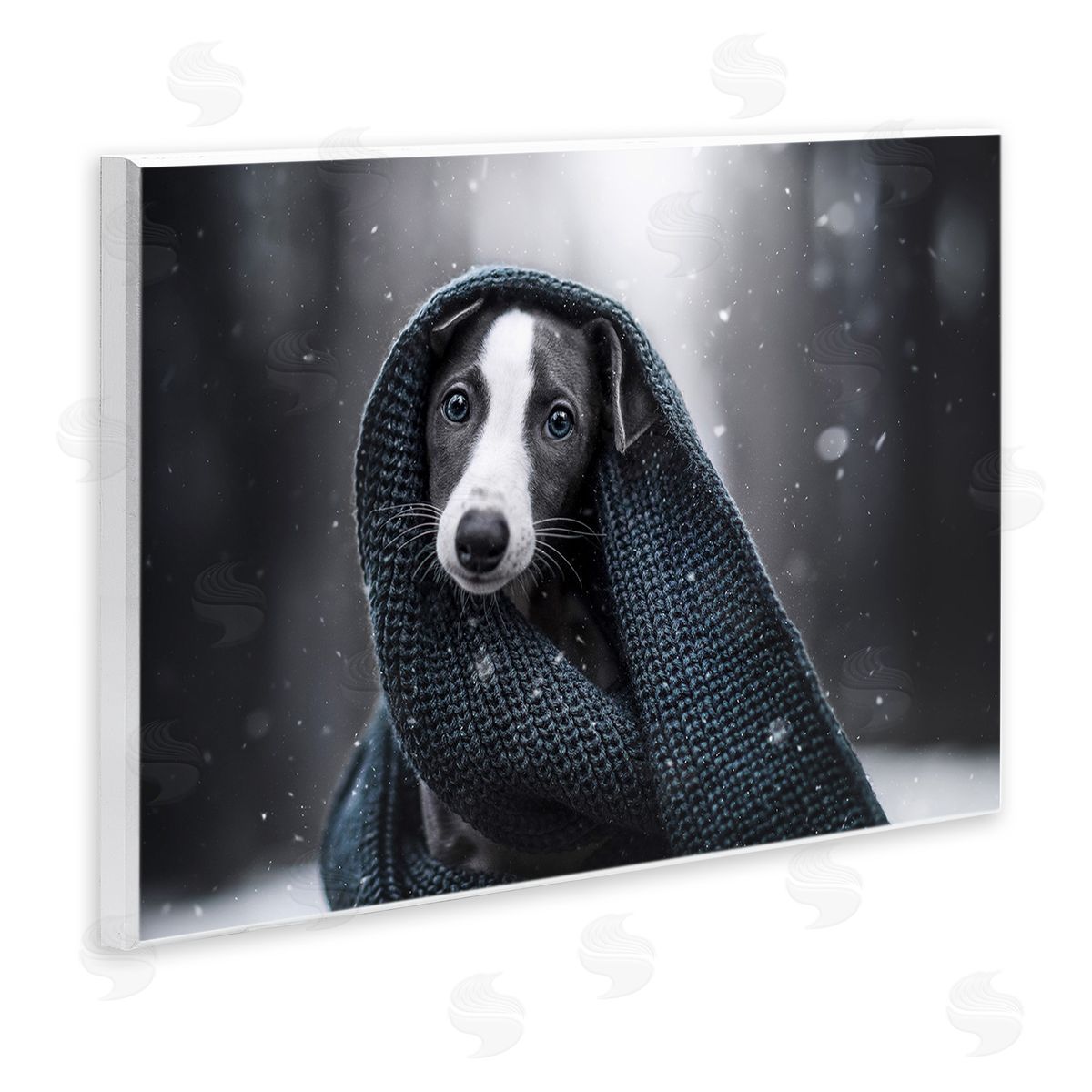 Natalie Grosse Dog with Winter Scarf