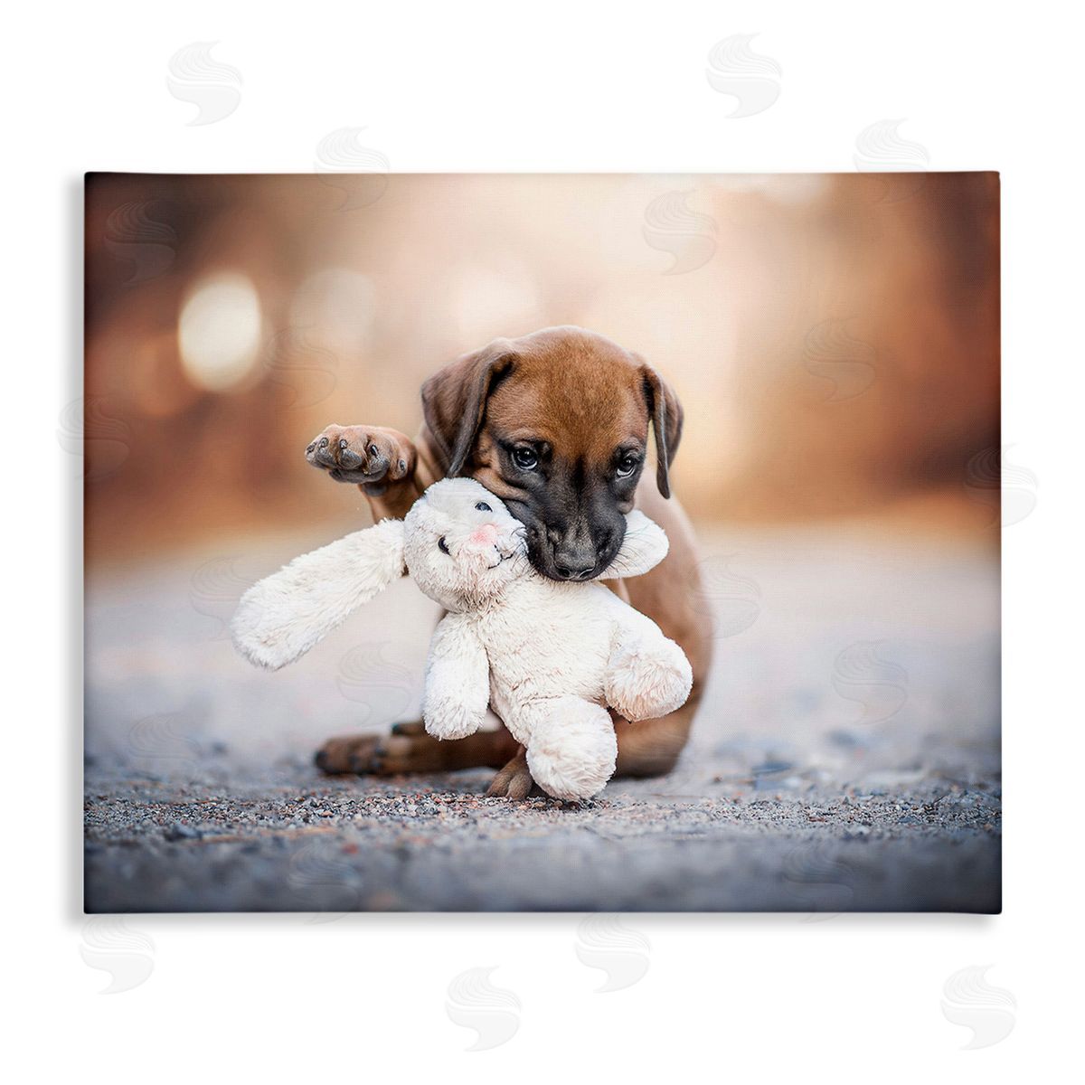 Natalie Grosse Puppy with Plushie Toy
