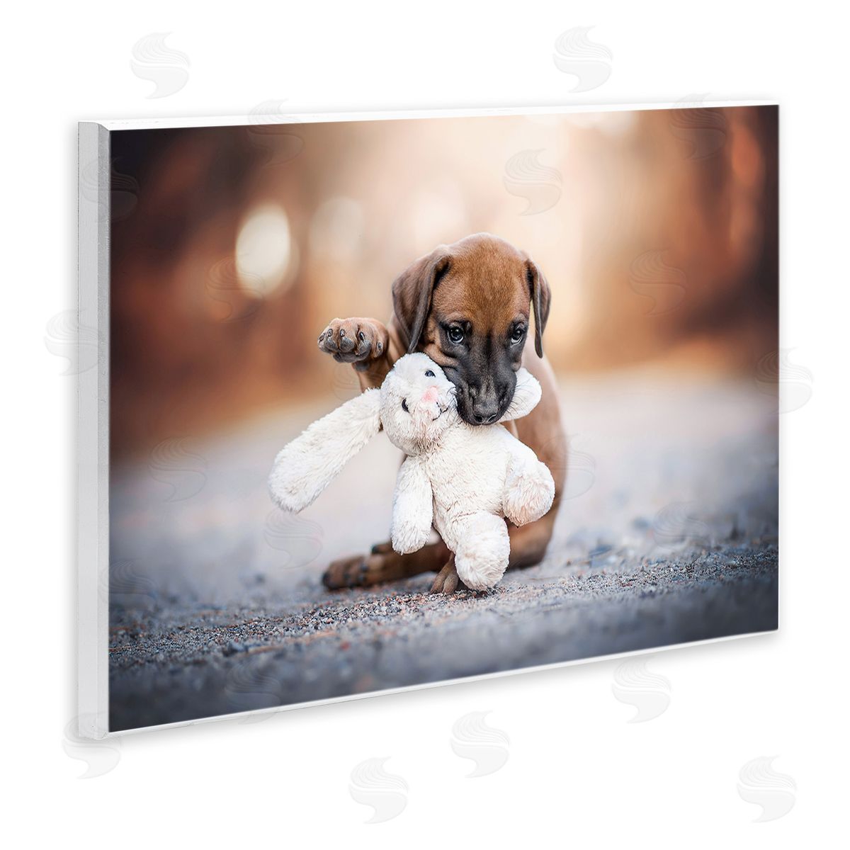 Natalie Grosse Puppy with Plushie Toy