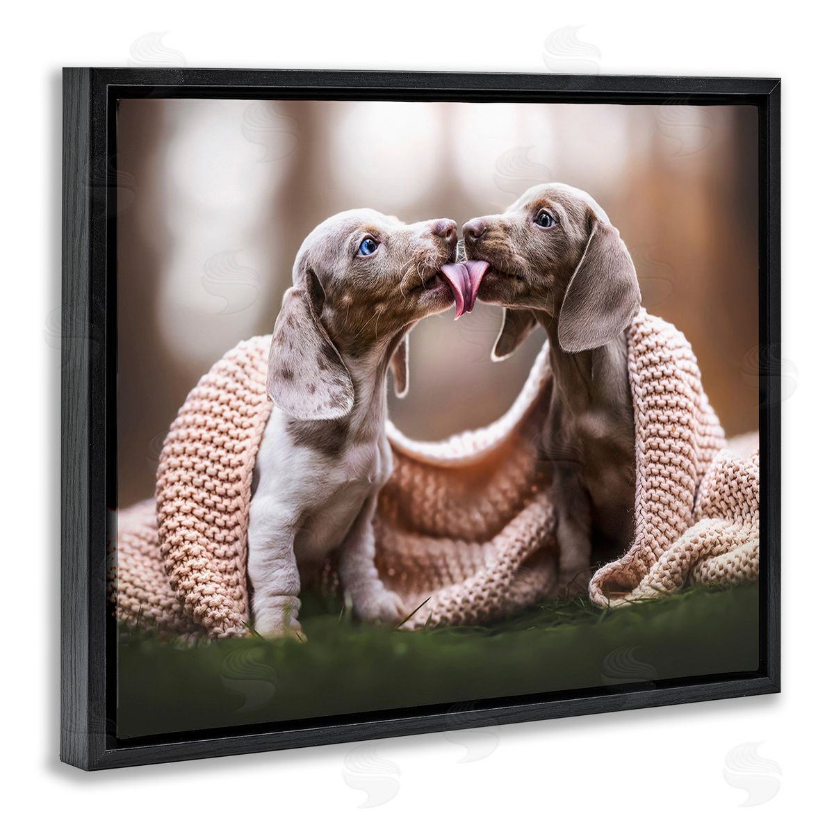 Natalie Grosse Puppies with Blanket