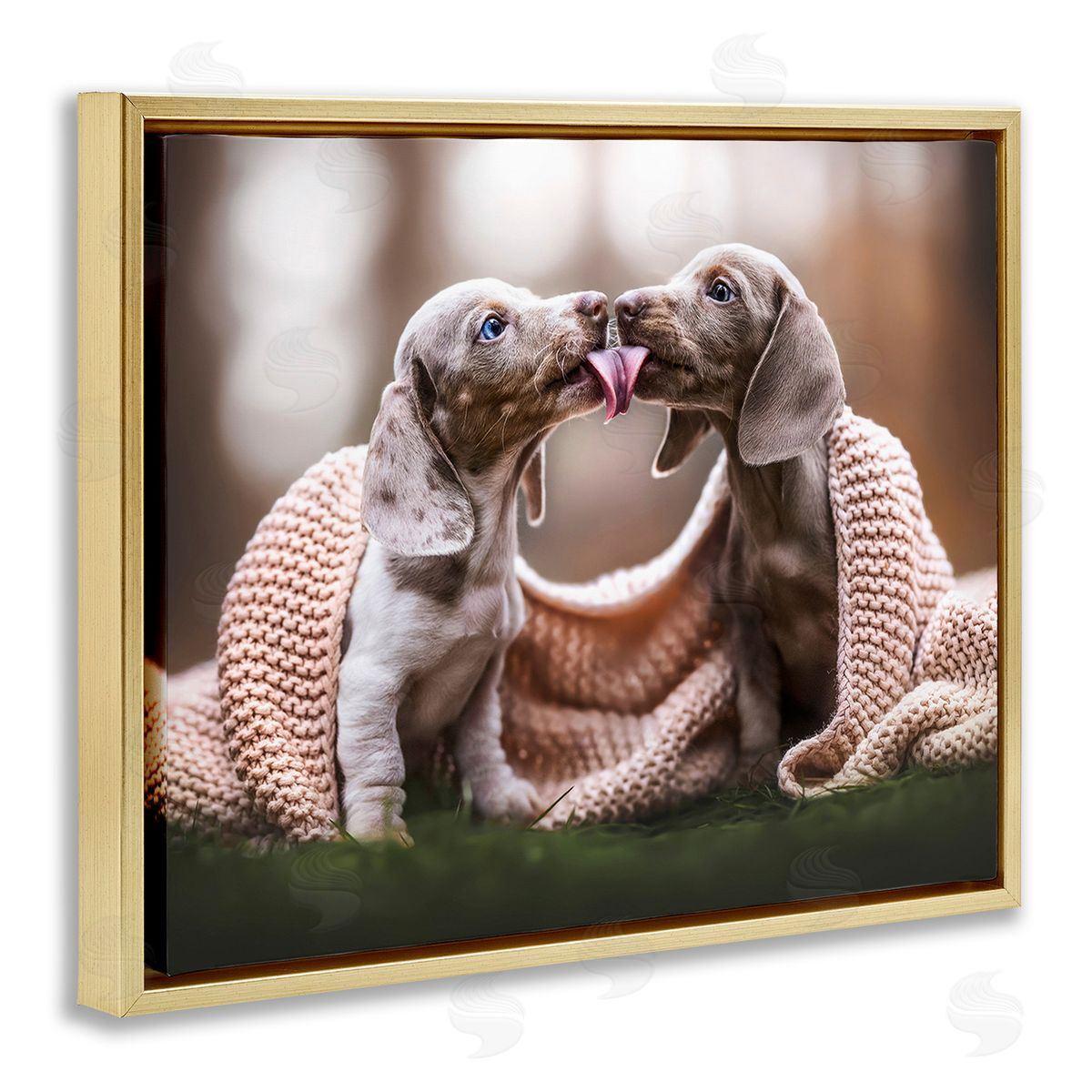 Natalie Grosse Puppies with Blanket