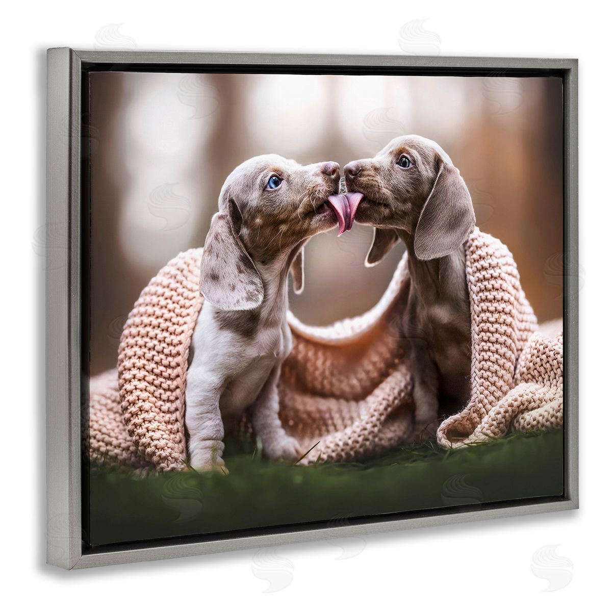 Natalie Grosse Puppies with Blanket