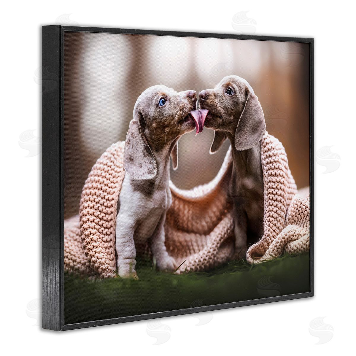 Natalie Grosse Puppies with Blanket