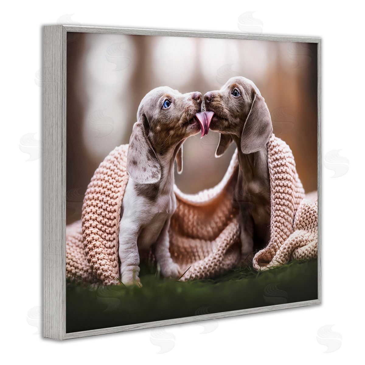 Natalie Grosse Puppies with Blanket