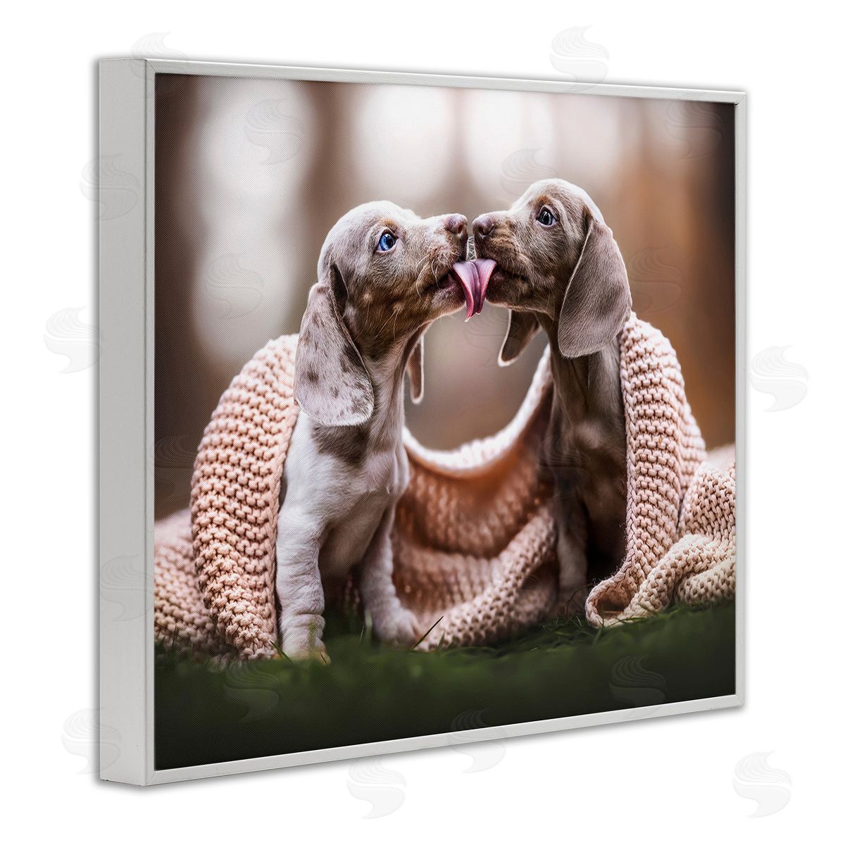 Natalie Grosse Puppies with Blanket