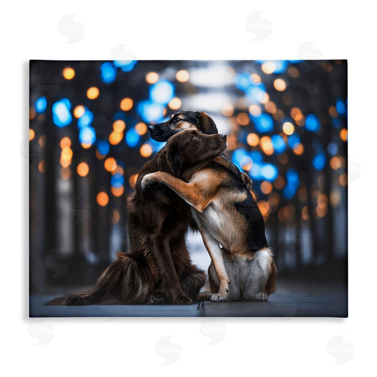 Natalie Grosse Hugging Dogs with Bokeh