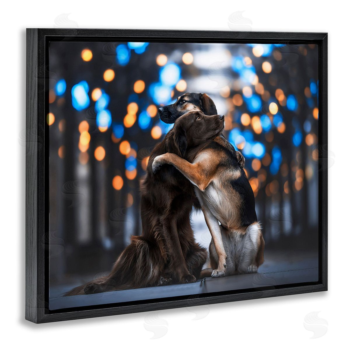 Natalie Grosse Hugging Dogs with Bokeh