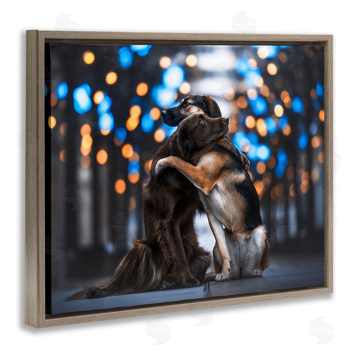 Natalie Grosse Hugging Dogs with Bokeh