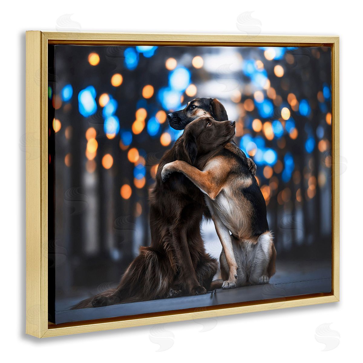 Natalie Grosse Hugging Dogs with Bokeh