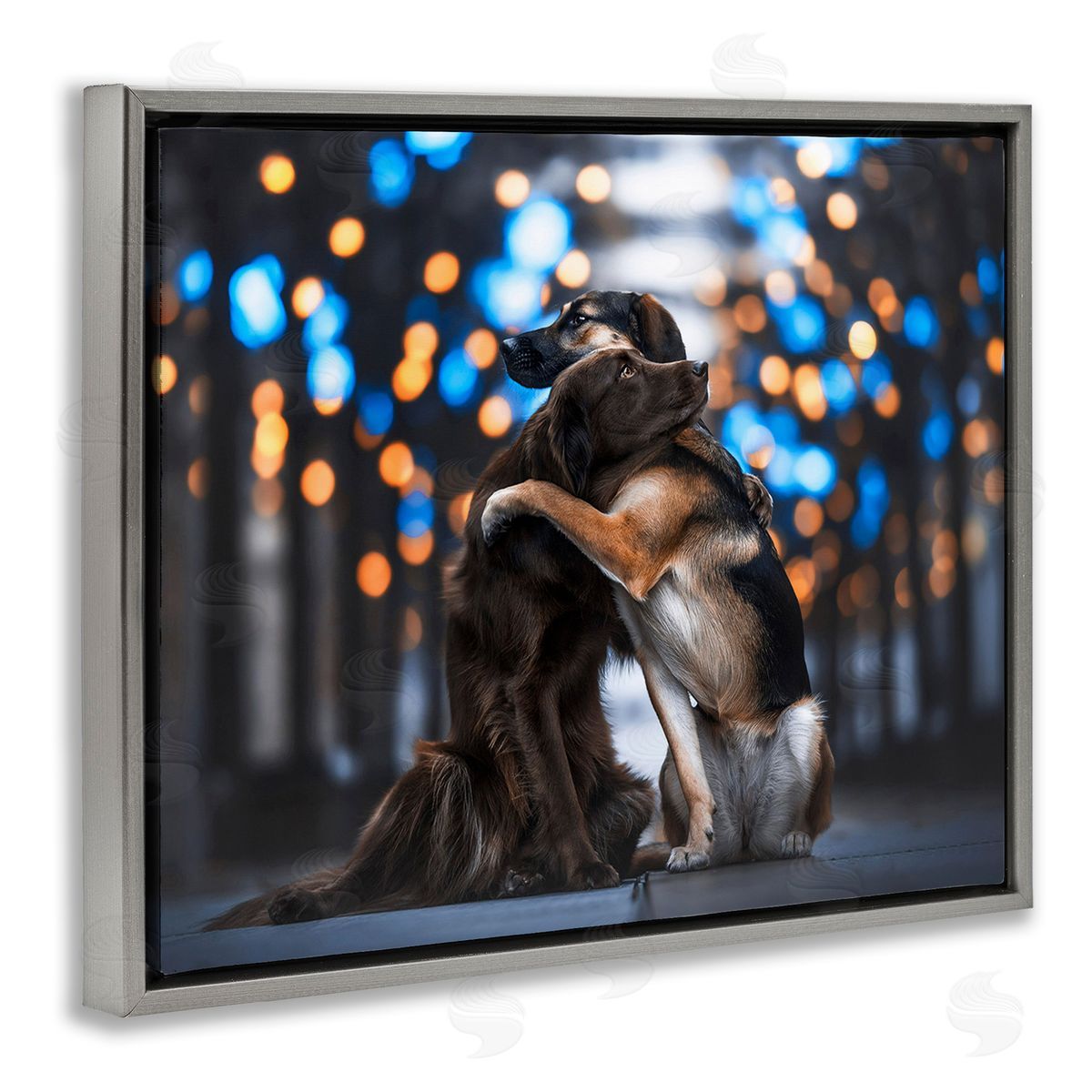 Natalie Grosse Hugging Dogs with Bokeh