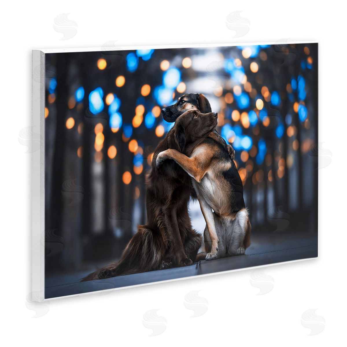 Natalie Grosse Hugging Dogs with Bokeh