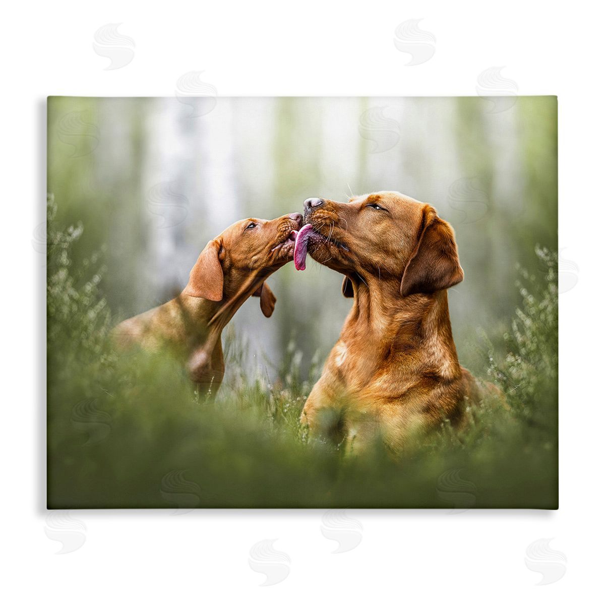 Natalie Grosse Playing Puppies in Grass