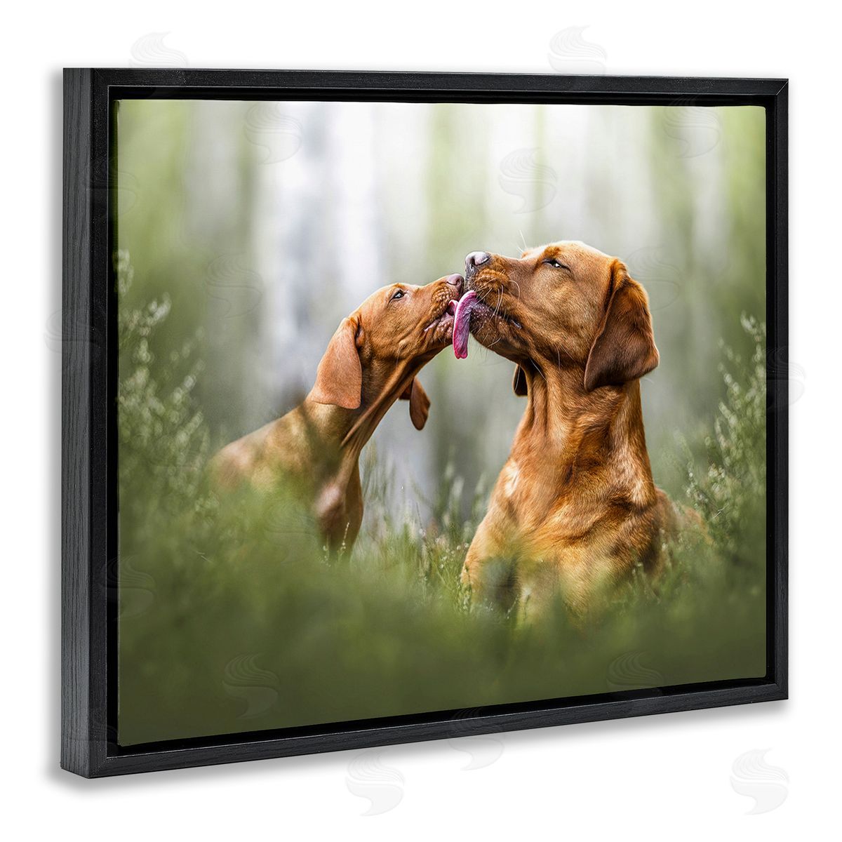 Natalie Grosse Playing Puppies in Grass