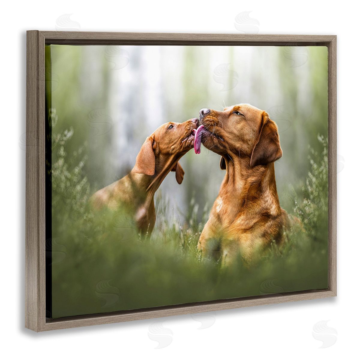 Natalie Grosse Playing Puppies in Grass