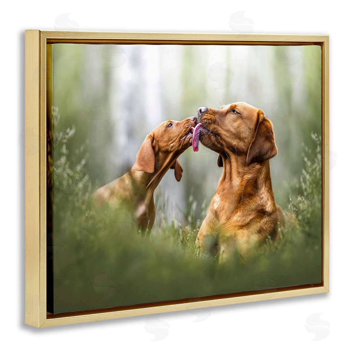 Natalie Grosse Playing Puppies in Grass