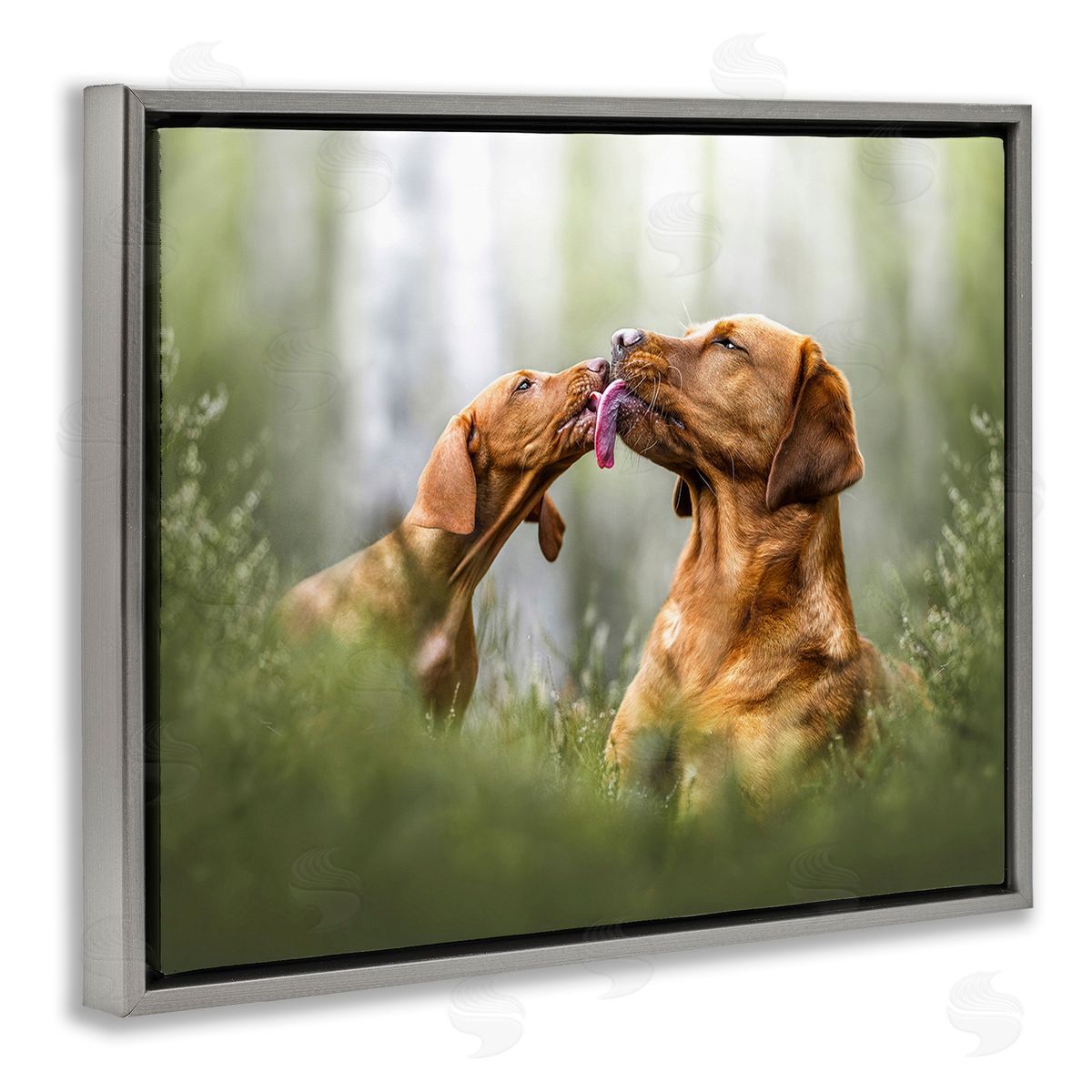 Natalie Grosse Playing Puppies in Grass