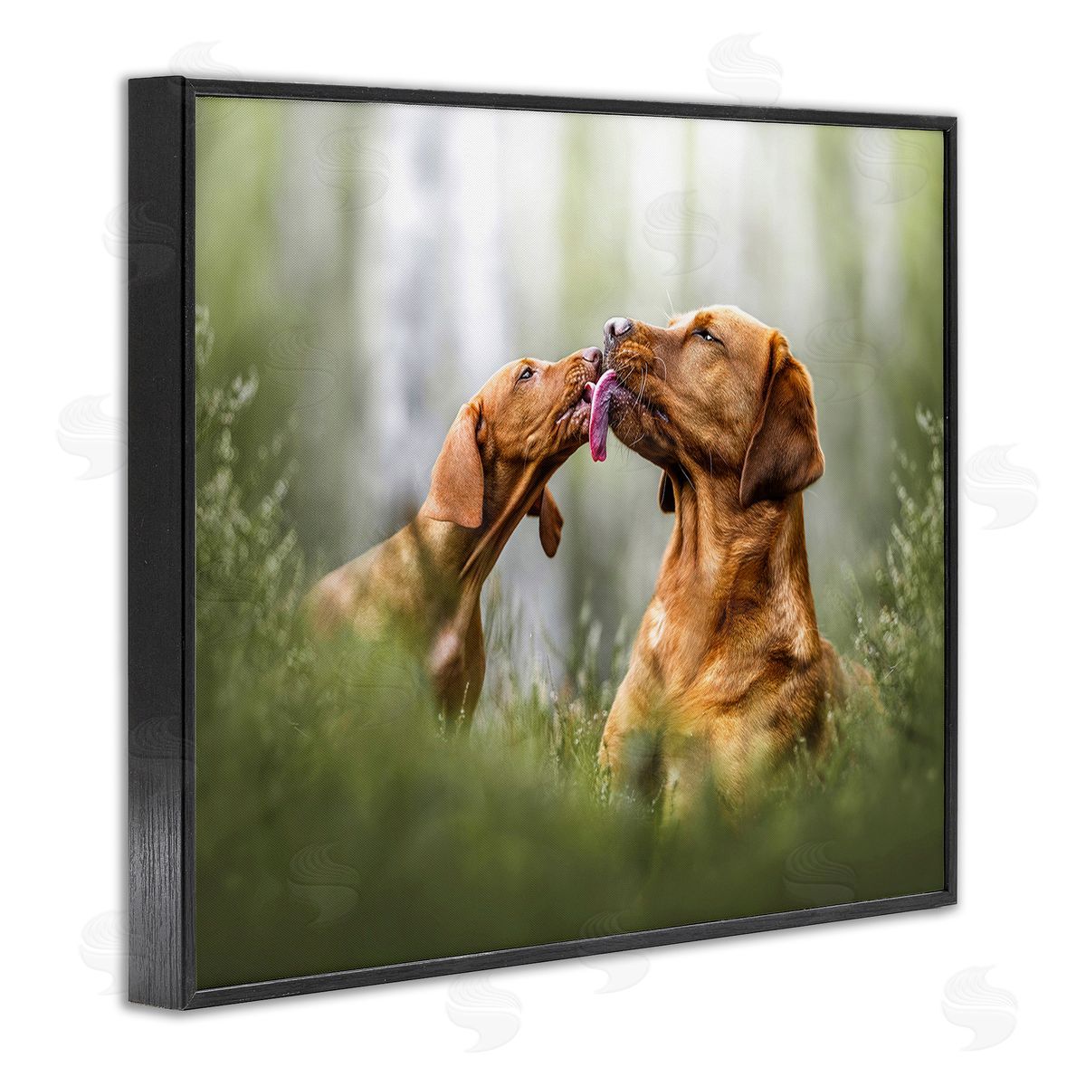 Natalie Grosse Playing Puppies in Grass