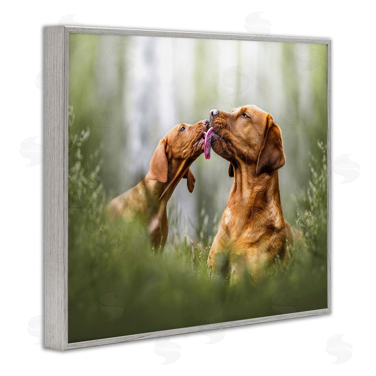 Natalie Grosse Playing Puppies in Grass