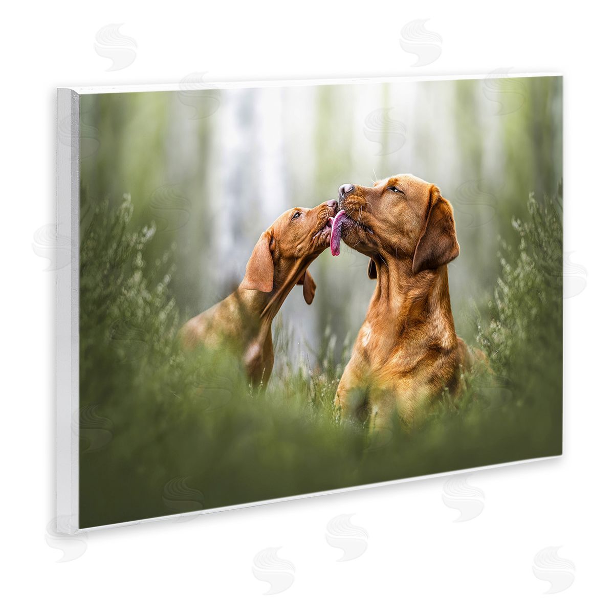 Natalie Grosse Playing Puppies in Grass