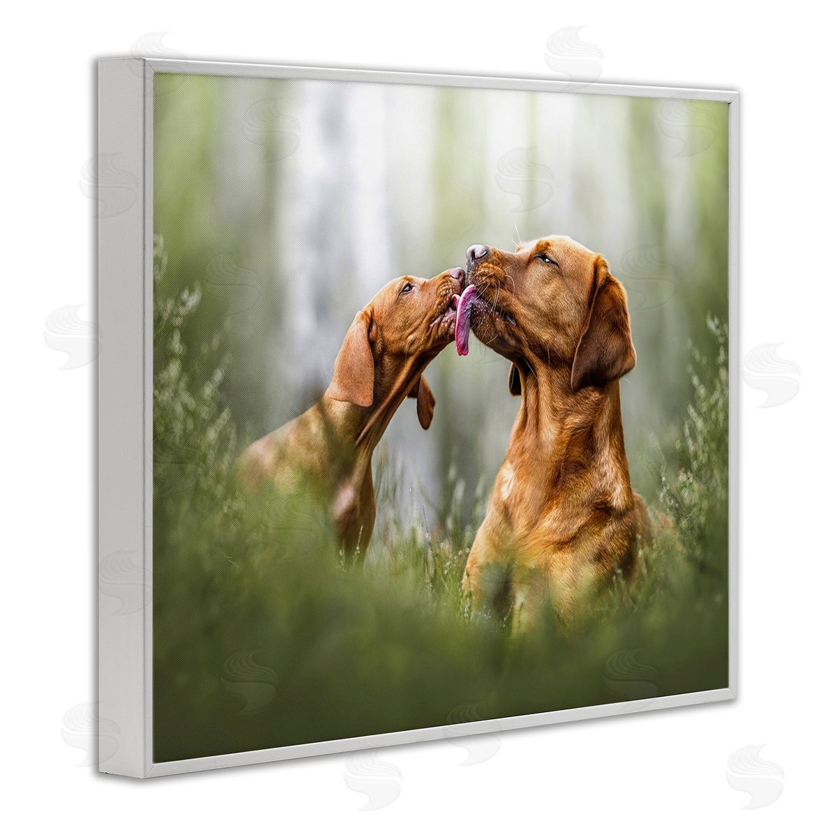 Natalie Grosse Playing Puppies in Grass