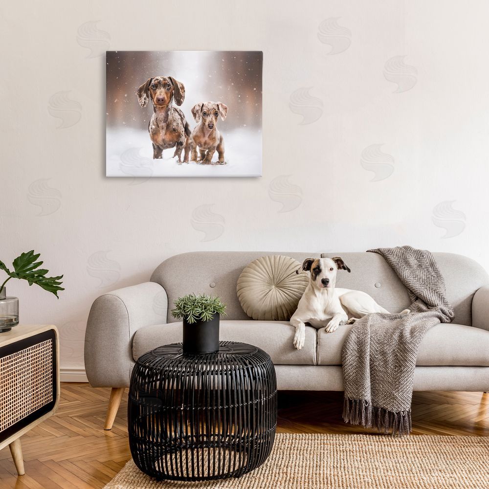 Natalie Grosse Playing Puppies in Snow