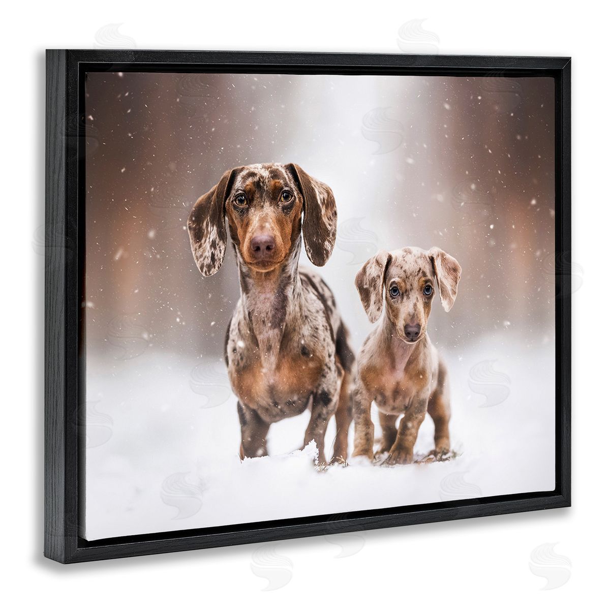 Natalie Grosse Playing Puppies in Snow