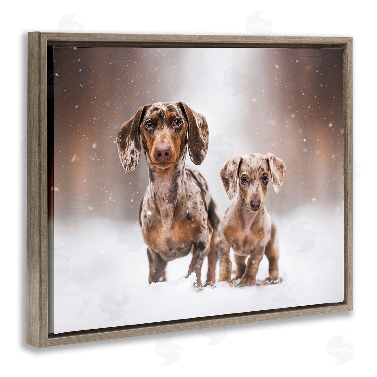 Natalie Grosse Playing Puppies in Snow