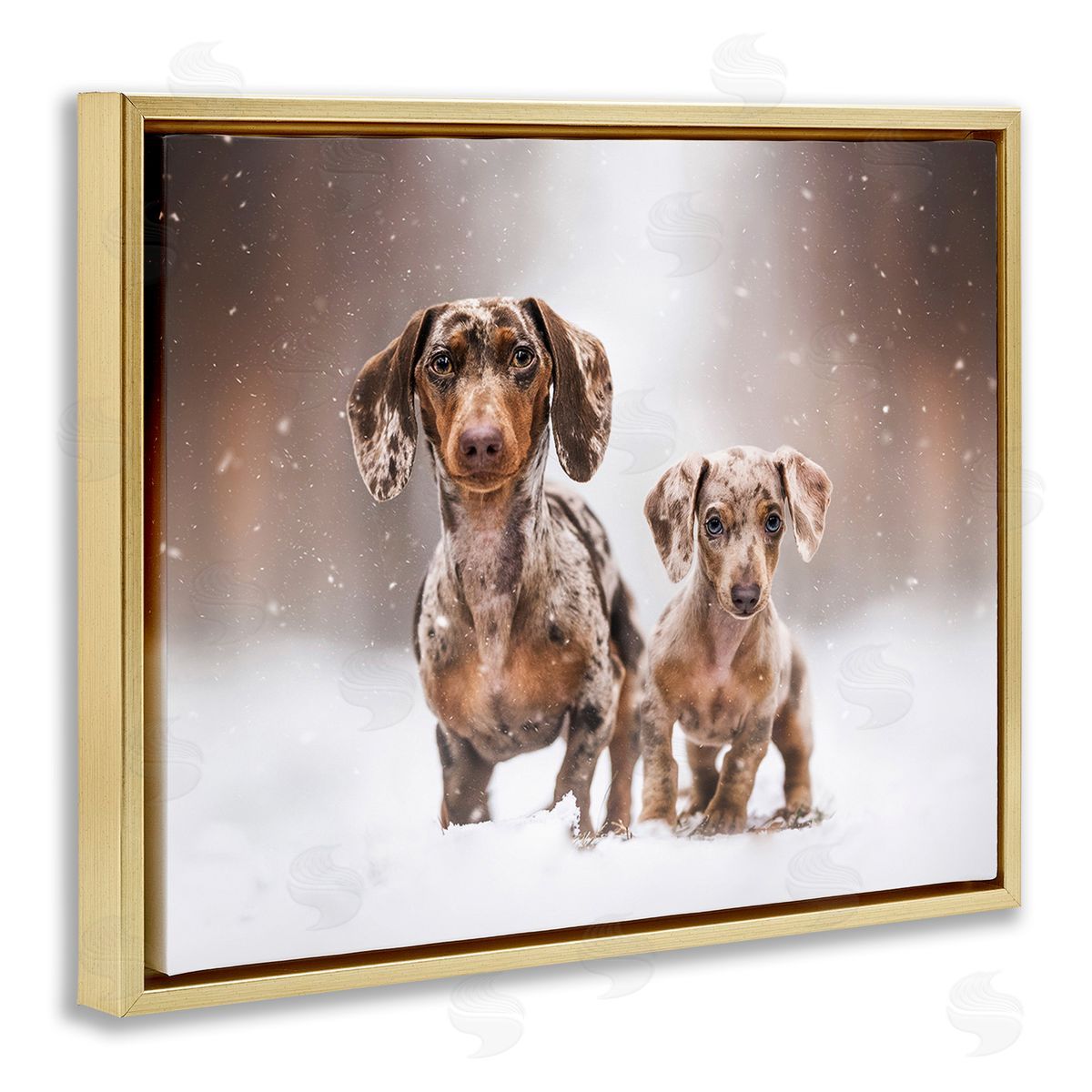 Natalie Grosse Playing Puppies in Snow