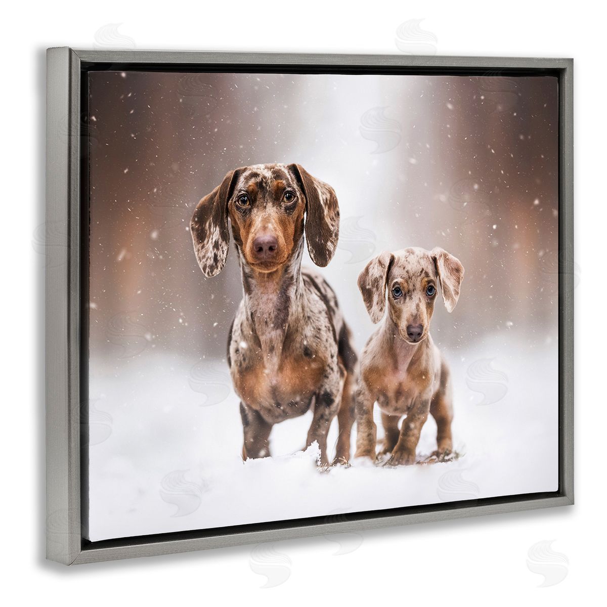 Natalie Grosse Playing Puppies in Snow