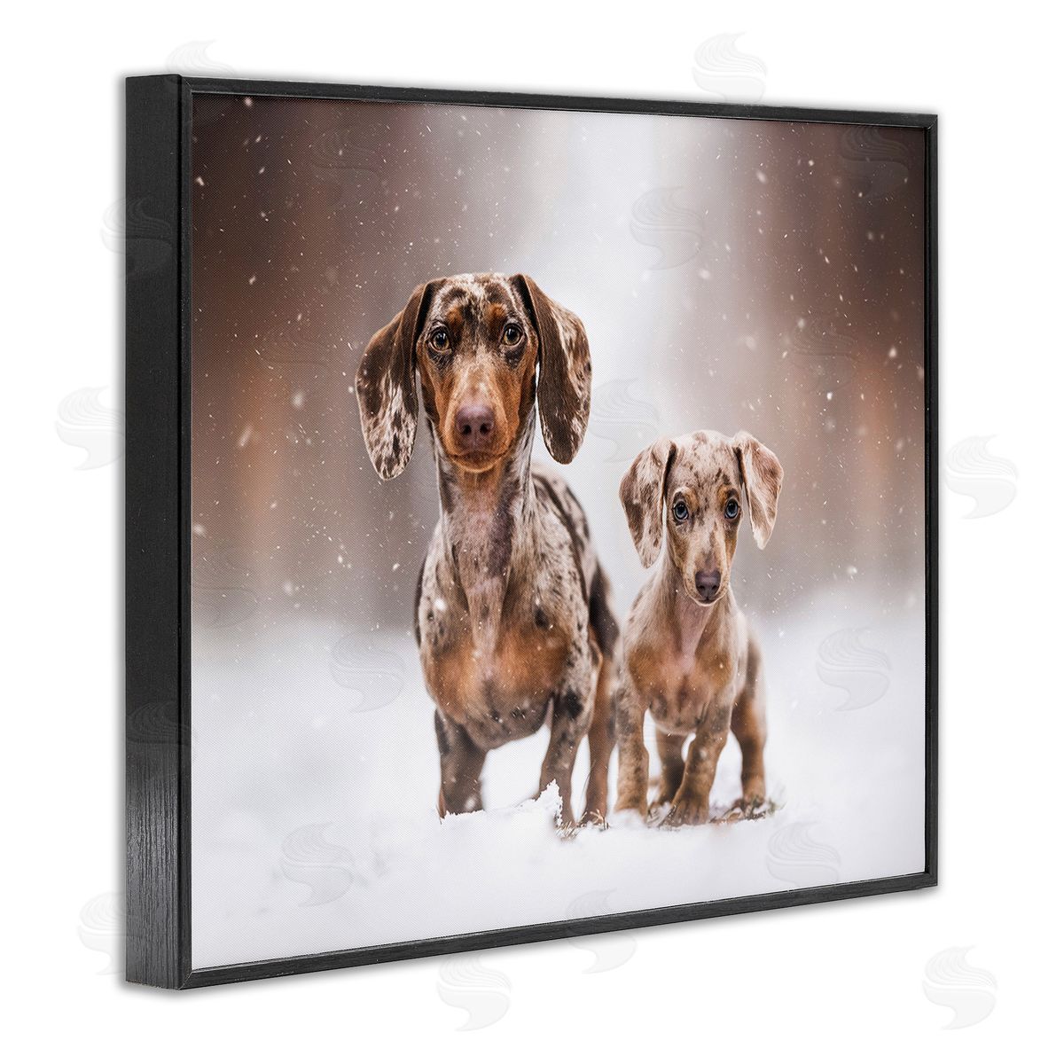 Natalie Grosse Playing Puppies in Snow